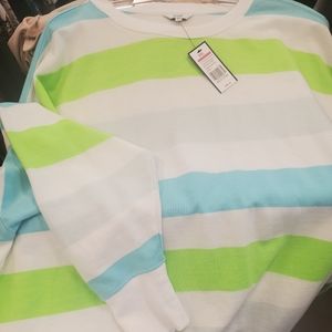 Crown and ivy sweater